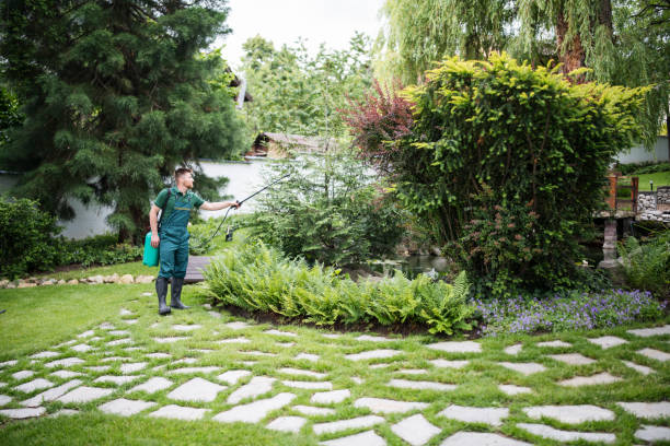 Best Commercial Pest Control Services  in Mundelein, IL