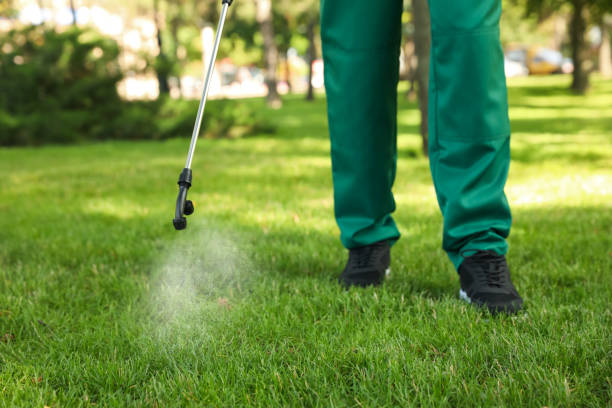 Reliable Mundelein, IL Pest Control Solutions