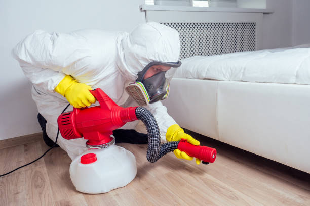 Best Affordable Pest Control Services  in Mundelein, IL