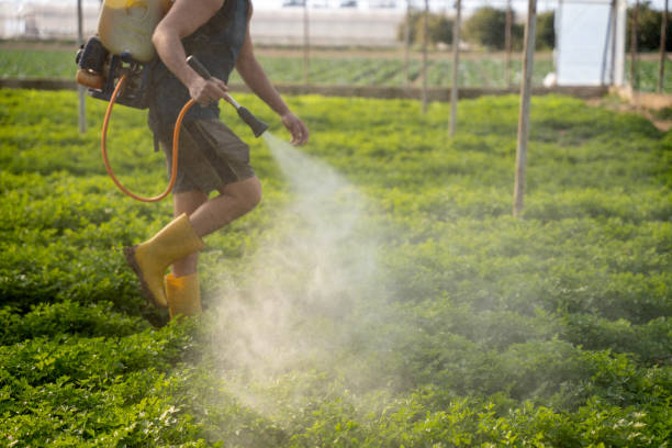 Best Mosquito Control Services  in Mundelein, IL