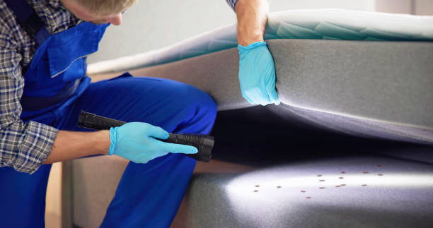 Best Termite Control Services  in Mundelein, IL