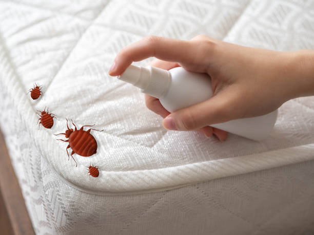 Best Best Pest Control Companies  in Mundelein, IL