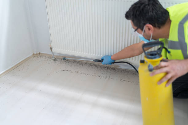 Best Bed Bug Extermination  in Mundelein, IL