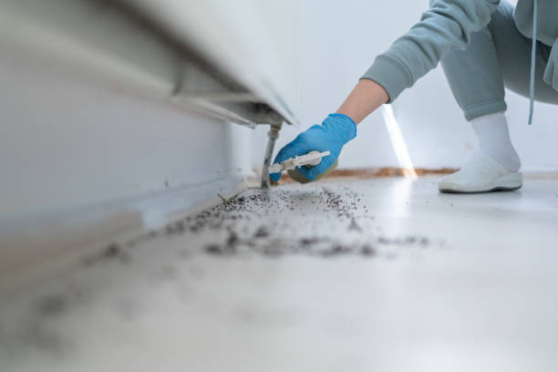 Best Pest Prevention Services  in Mundelein, IL