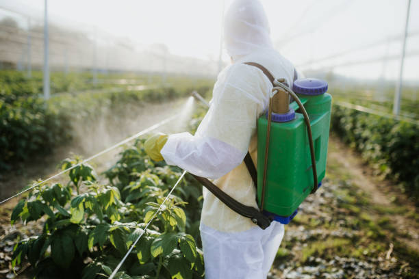  Mundelein, IL Pest Control Pros